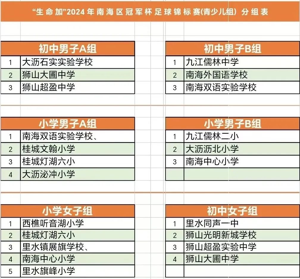 南海区足球协会_足球赛冠军南海锦标区是谁_南海区冠军足球锦标赛